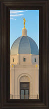 Load image into Gallery viewer, Tucson Morning Glory
