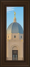 Load image into Gallery viewer, Tucson Morning Glory
