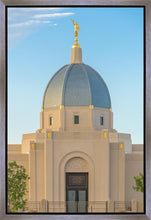 Load image into Gallery viewer, Tucson Morning Glory
