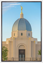 Load image into Gallery viewer, Tucson Morning Glory
