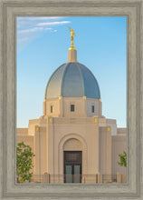 Load image into Gallery viewer, Tucson Morning Glory
