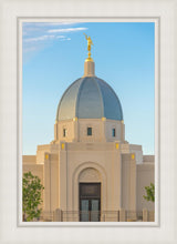 Load image into Gallery viewer, Tucson Morning Glory
