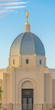 Load image into Gallery viewer, Tucson Morning Glory
