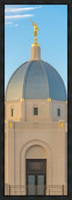 Load image into Gallery viewer, Tucson Morning Glory
