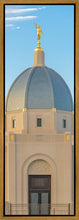 Load image into Gallery viewer, Tucson Morning Glory
