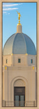 Load image into Gallery viewer, Tucson Morning Glory
