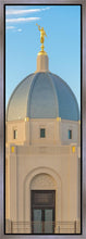 Load image into Gallery viewer, Tucson Morning Glory
