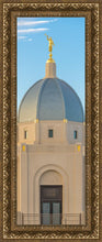 Load image into Gallery viewer, Tucson Morning Glory
