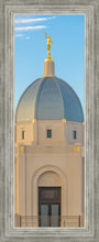 Load image into Gallery viewer, Tucson Morning Glory

