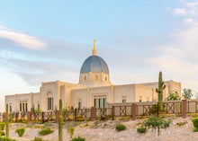 Load image into Gallery viewer, Tucson Peaceful Morning
