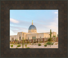 Load image into Gallery viewer, Tucson Peaceful Morning
