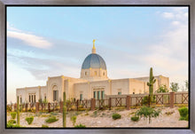 Load image into Gallery viewer, Tucson Peaceful Morning

