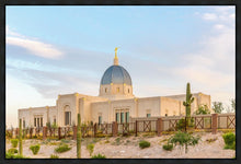 Load image into Gallery viewer, Tucson Peaceful Morning
