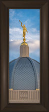 Load image into Gallery viewer, Tucson Moroni Dome
