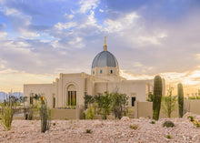 Load image into Gallery viewer, Tucson Deseret
