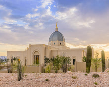Load image into Gallery viewer, Tucson Deseret
