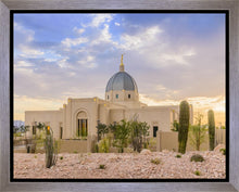 Load image into Gallery viewer, Tucson Deseret
