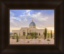 Load image into Gallery viewer, Tucson Deseret
