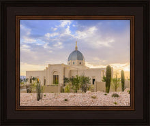 Load image into Gallery viewer, Tucson Deseret
