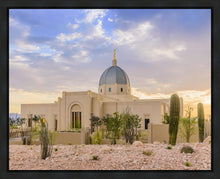 Load image into Gallery viewer, Tucson Deseret
