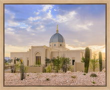 Load image into Gallery viewer, Tucson Deseret

