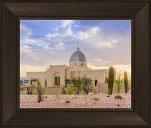 Load image into Gallery viewer, Tucson Deseret
