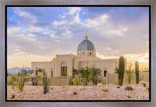 Load image into Gallery viewer, Tucson Deseret
