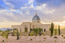 Load image into Gallery viewer, Tucson Deseret
