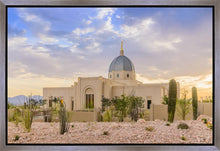 Load image into Gallery viewer, Tucson Deseret

