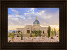 Load image into Gallery viewer, Tucson Deseret
