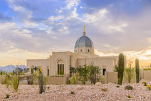 Load image into Gallery viewer, Tucson Deseret
