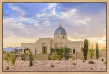 Load image into Gallery viewer, Tucson Deseret
