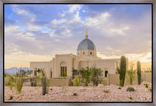 Load image into Gallery viewer, Tucson Deseret
