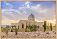 Load image into Gallery viewer, Tucson Deseret
