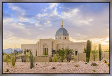 Load image into Gallery viewer, Tucson Deseret
