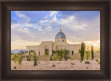 Load image into Gallery viewer, Tucson Deseret
