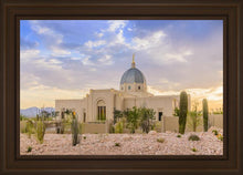 Load image into Gallery viewer, Tucson Deseret
