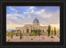 Load image into Gallery viewer, Tucson Deseret
