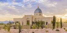 Load image into Gallery viewer, Tucson Deseret
