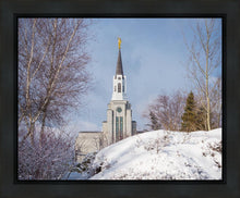 Load image into Gallery viewer, Boston Morning Snow Horizontal
