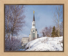Load image into Gallery viewer, Boston Morning Snow Horizontal
