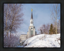 Load image into Gallery viewer, Boston Morning Snow Horizontal
