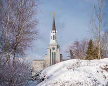 Load image into Gallery viewer, Boston Morning Snow Horizontal
