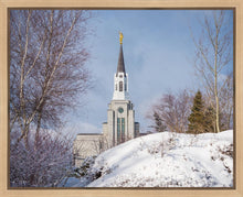 Load image into Gallery viewer, Boston Morning Snow Horizontal
