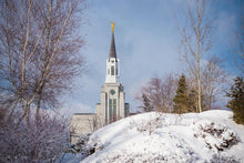 Load image into Gallery viewer, Boston Morning Snow Horizontal
