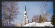 Load image into Gallery viewer, Boston Morning Snow Horizontal
