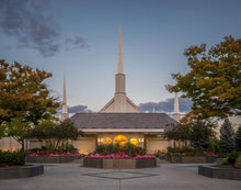 Load image into Gallery viewer, Boise Peaceful Gardens
