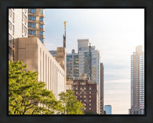 Load image into Gallery viewer, Manhattan Golden

