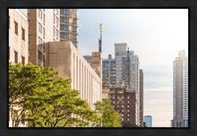 Load image into Gallery viewer, Manhattan Golden
