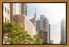 Load image into Gallery viewer, Manhattan Golden
